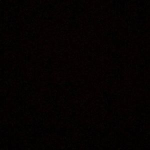 Meet your Posher, Oscar